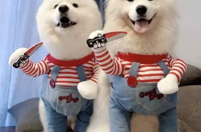 Chucky Dog Costume