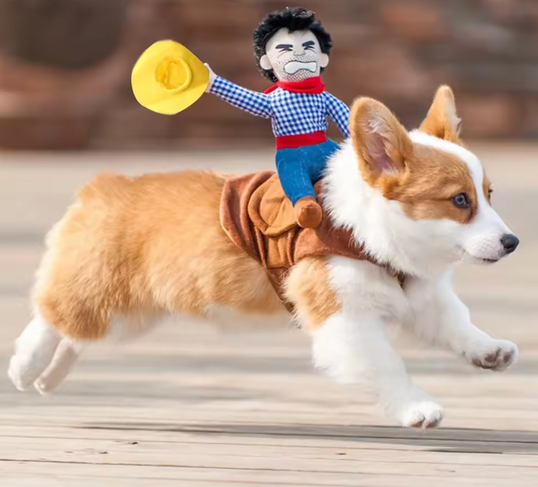Cowboy Pet Costume
